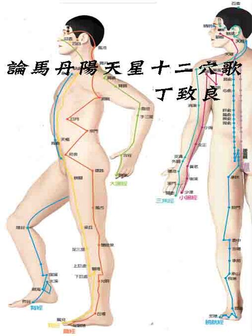 Title details for 論馬丹陽天星十二穴歌 by 丁致良 - Wait list